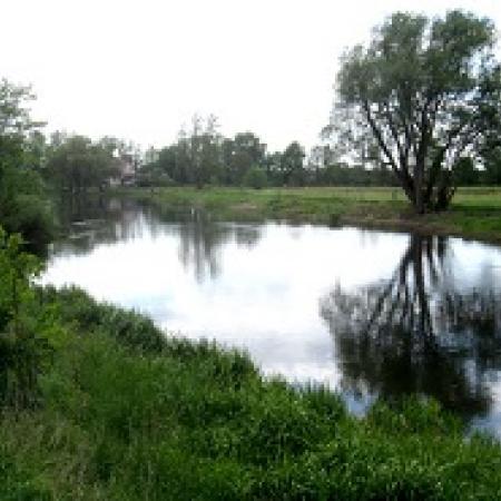 Größeres Bild anzeigen